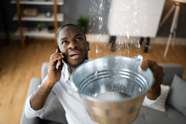 Best Water damage restoration process  in Tillamook, OR