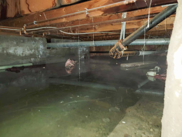 Water damage restoration process in OR