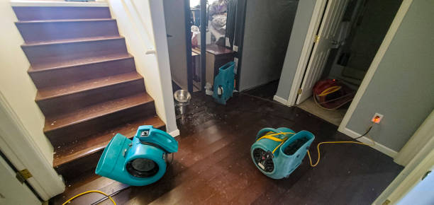Best Flooded house restoration  in Tillamook, OR