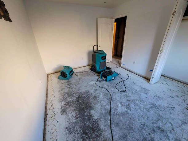 Best Basement water damage restoration  in Tillamook, OR