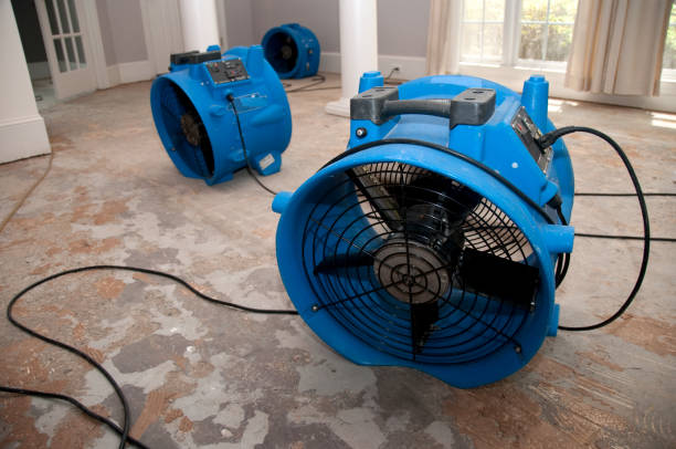 Best Water damage restoration cost  in Tillamook, OR