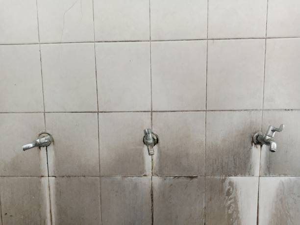 Best Water damage restoration near me  in Tillamook, OR