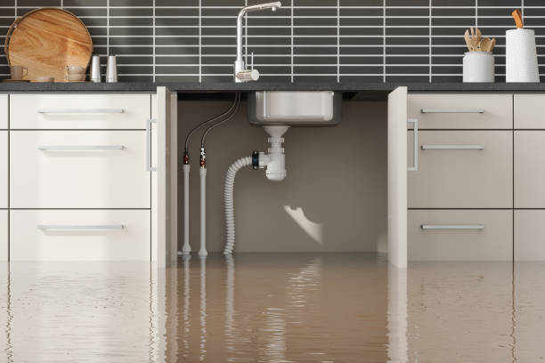 Best Sewage cleanup and water damage restoration  in Tillamook, OR