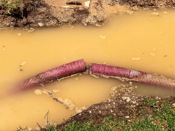 Best Water damage restoration cost  in Tillamook, OR