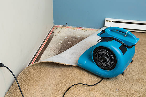 Best Water damage restoration near me  in Tillamook, OR